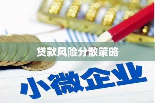 醴陵贷款风险分散策略