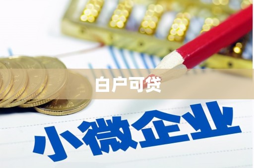 莎车白户可贷