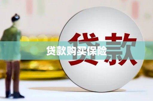 白城贷款购买保险
