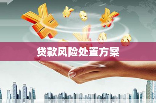 夏邑贷款风险处置方案