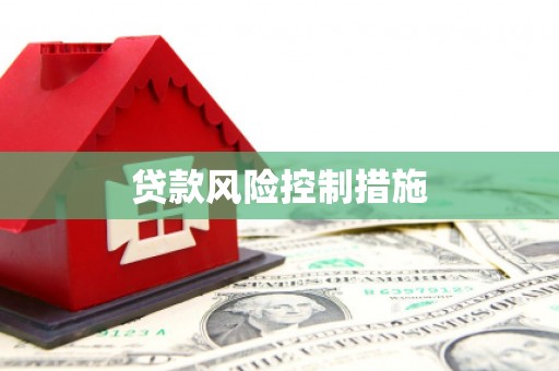 江城贷款风险控制措施