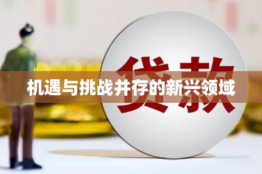 灞桥机遇与挑战并存的新兴领域