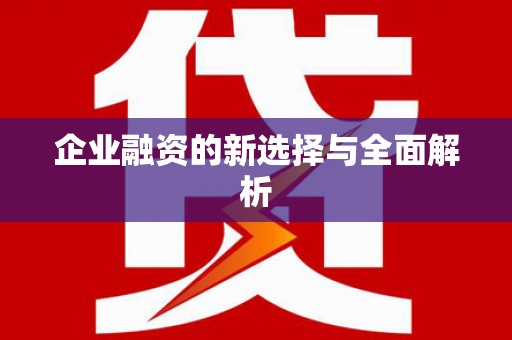 保税港区企业融资的新选择与全面解析