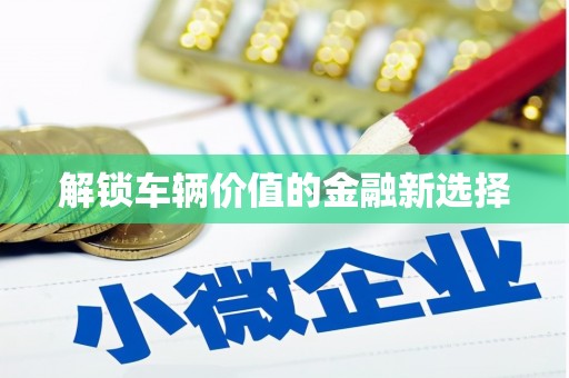 西双版纳解锁车辆价值的金融新选择