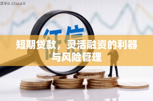 东至短期贷款，灵活融资的利器与风险管理