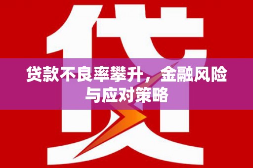 温泉贷款不良率攀升，金融风险与应对策略